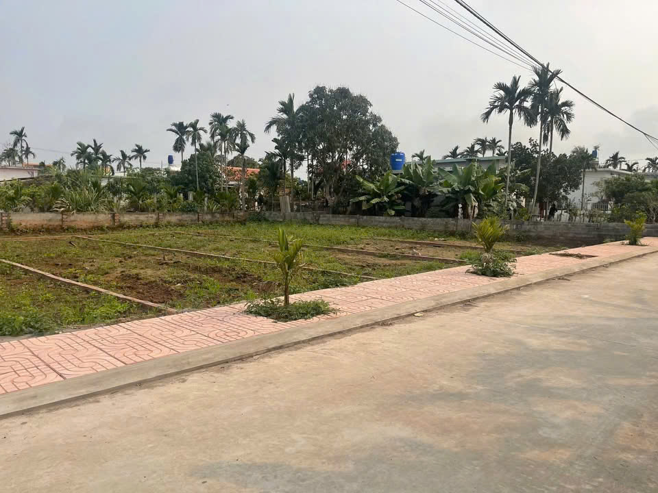 Cần vốn kinh doanh nên cho ra lô đất tại Gioa Thủy - Nam Định