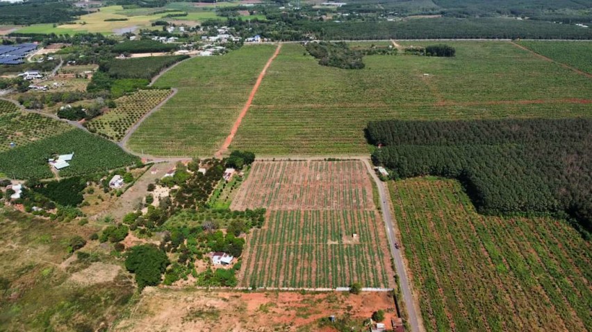 không đầu tư ở đây thì còn ở đâu nữa