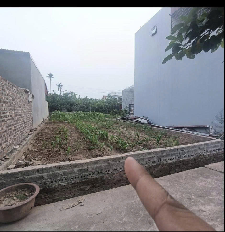 Chính chủ bán lô đất Thôn Quán Trạch - Xã Liên Nghĩa - Huyện Văn Giang - Tỉnh Hưng Yên