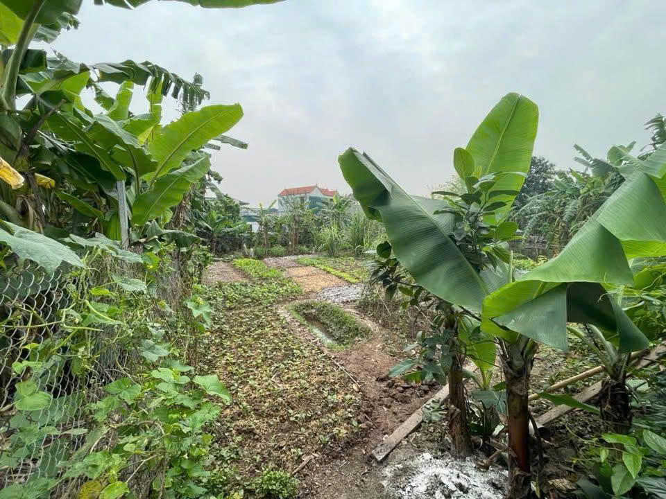 Bán lô dất 120m2 Đường Kim Phú - Xã Ninh Khang - Huyện Hoa Lưu - Tỉnh Ninh Bình